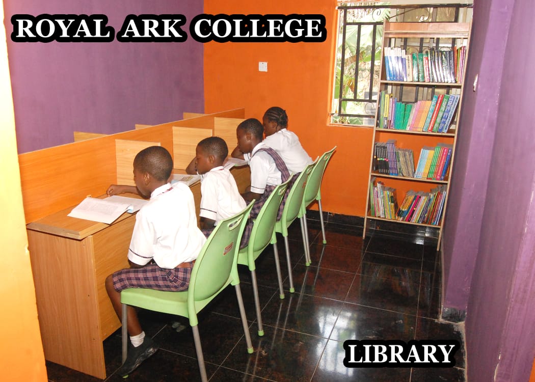 Modern School Library