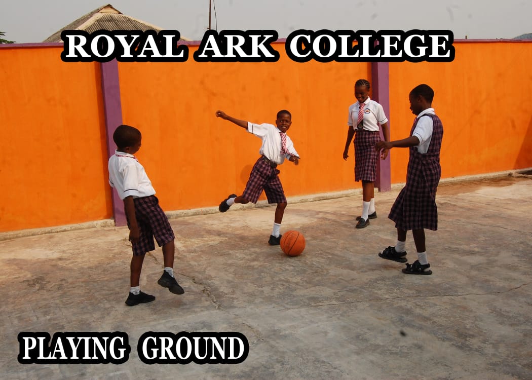 School Playground & Sports Area