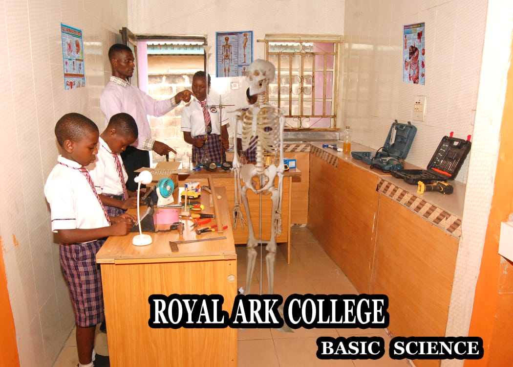 Royal Ark Schools slide 2